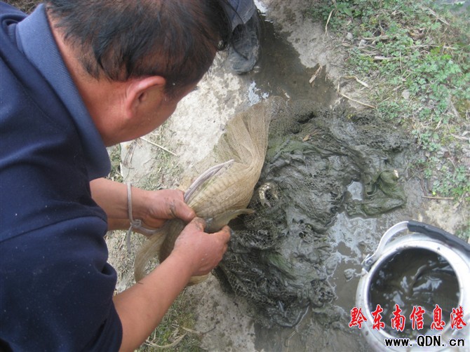 ����W(w��ng)�~(y��) �ի@��ࣨ�D��