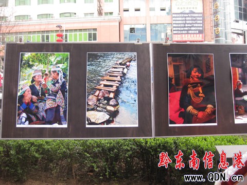 2010凱里迎春書畫攝影展吸引市民駐足欣賞(圖)
