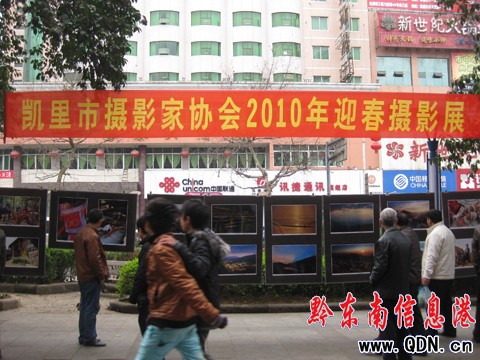 2010凱里迎春書畫攝影展吸引市民駐足欣賞(圖)