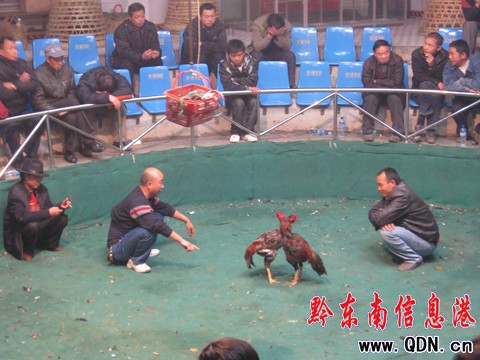 2010�Ї�•�P����������u����ِ�A�M�Y�����D��