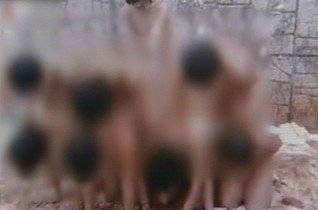 �n���Q�����Ա��������V�M�����w���I�cף�W��