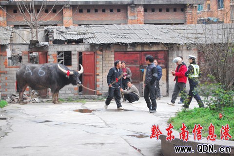 ��ţ���ӸZ���Ѕ^(q��) �����o��̎�óɹ����U���D��