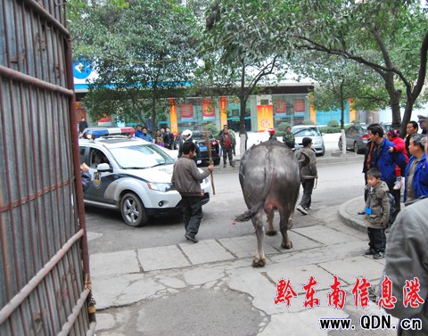 ��ţ���ӸZ���Ѕ^(q��) �����o��̎�óɹ����U���D��