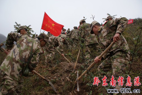 ���O�Gɫ�҈@ �侯�ٱ����Єӣ��D��