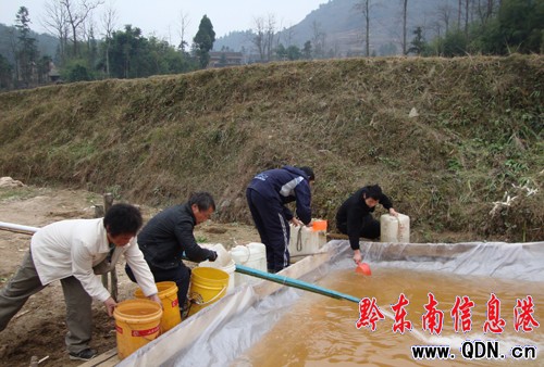 黃平發動群眾抗旱自救2000余人參與(組圖)