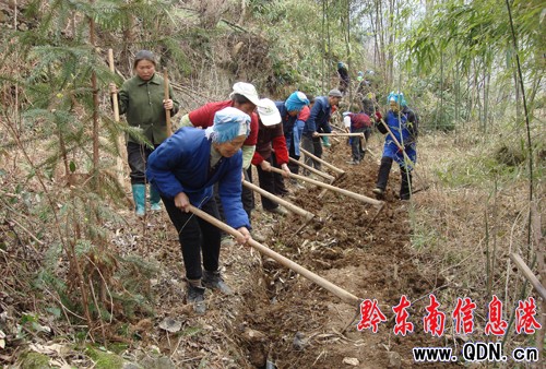 黃平發動群眾抗旱自救2000余人參與(組圖)