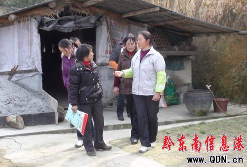 石洞鎮婦女過“三•八”學技術(圖)