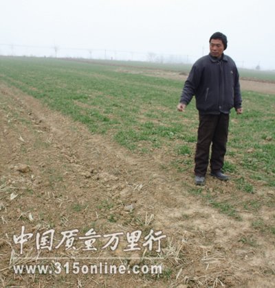 萬畝旱稻因假種子幾近絕收 官員稱起訴沒用