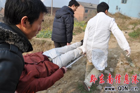 �����_���l(xi��ng)���P��