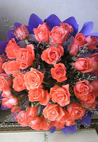 İ�����ӌ�Ů��һҊ��� �ͶY���겻Ҋ��(�M�D)