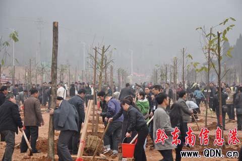 �P���_չֲ���Z�Z���һ�Ӵ����B���н��O���D��