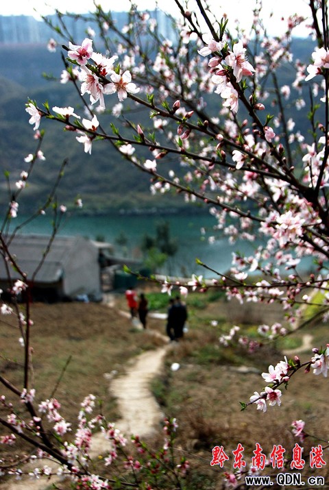 ��ˮ����һ�����ⰻȻ���󣨈D��