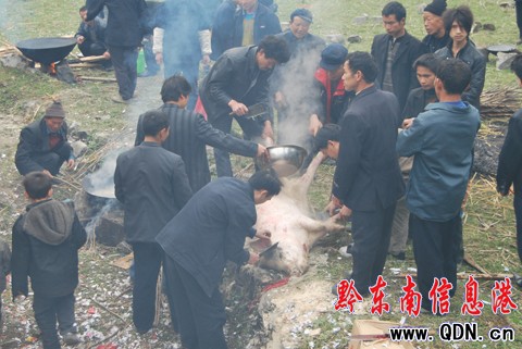 ���i����c�����򹝡� �ò����[�����D��