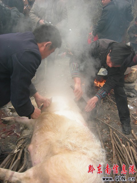 ���i����c�����򹝡� �ò����[�����D��