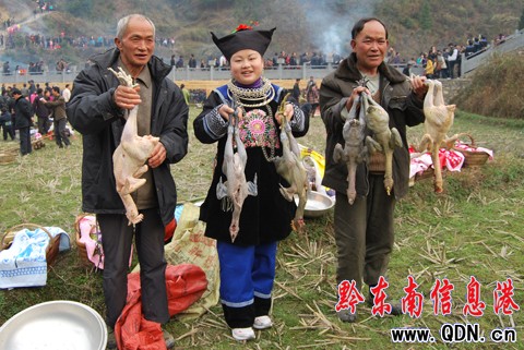 ���i����c�����򹝡� �ò����[�����D��