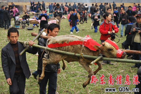 ���i����c�����򹝡� �ò����[�����D��