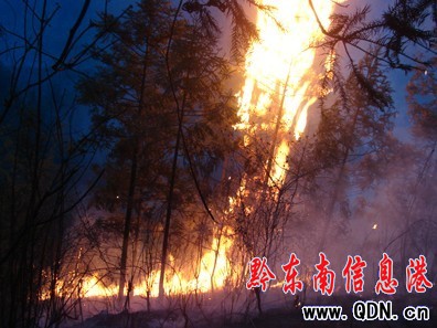 從江軍警民300余人奮力撲救山火(圖)