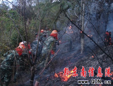 從江軍警民300余人奮力撲救山火(圖)
