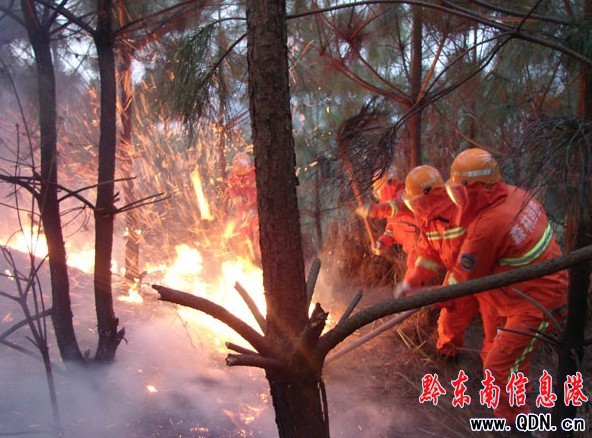 從江軍警民300余人奮力撲救山火(圖)