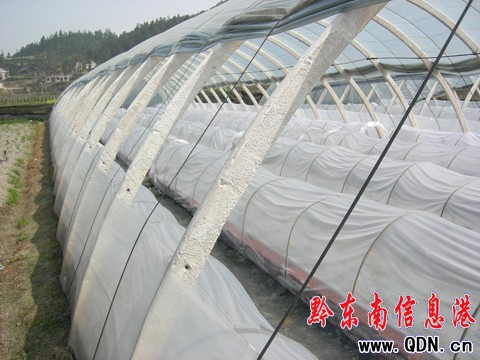 ǭ�|�����룩���B�^���r�Iʾ���^ ���M�r������