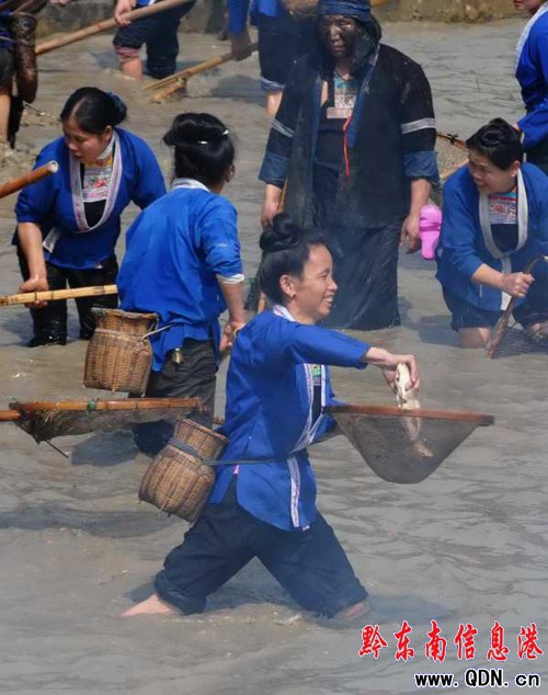 ��ƽ���g������Ӹ蹝���M�D��