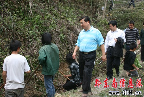 �_���ൽ�Ž��z�顰�ɷ����������ȞĹ���(�D)