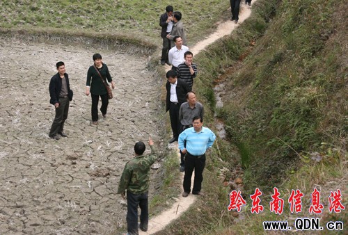 �_���ൽ�Ž��z�顰�ɷ����������ȞĹ���(�D)