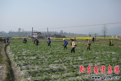 �Sƽ�h�_չ�R��������F����Ӗ