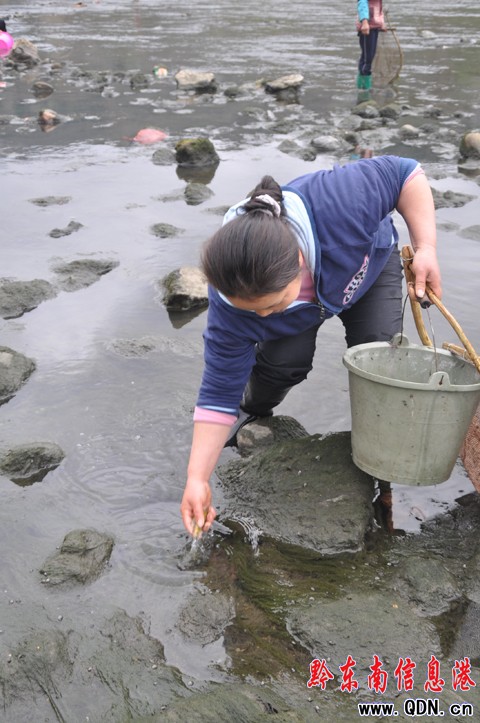 ��ˮ����Ư��������~ ������������ʳ��(�D)