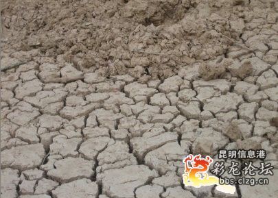 點擊瀏覽下一張