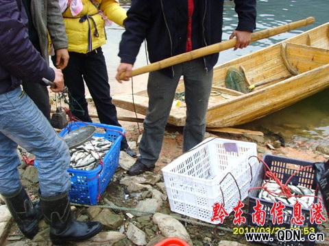 ����Ϫ��(k��)�^(q��)С���~(y��)5Ԫ/�� ��˲��~(y��)�l(shu��)��(l��i)�ܣ�(�D)