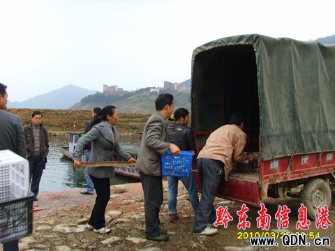 ����Ϫ��(k��)�^(q��)С���~(y��)5Ԫ/�� ��˲��~(y��)�l(shu��)��(l��i)�ܣ�(�D)