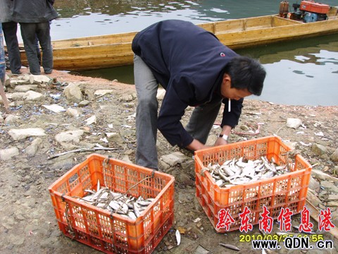 ����Ϫ��(k��)�^(q��)С���~(y��)5Ԫ/�� ��˲��~(y��)�l(shu��)��(l��i)�ܣ�(�D)