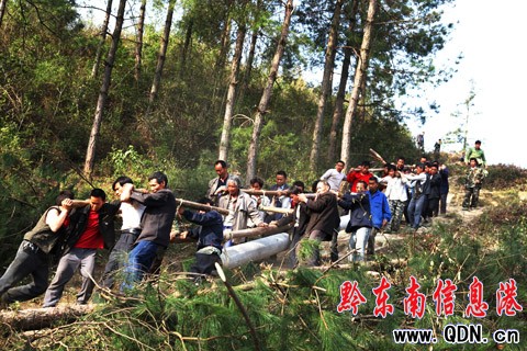 �(zh��n)�h(yu��n)�h��늾��ٴ�Ͷ��12�fԪ�����Ȟ�(z��i)���D��