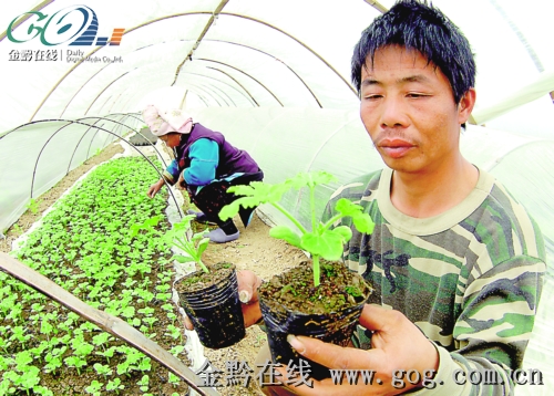 ��կ �Ƽ���ˮ�����磨�D��