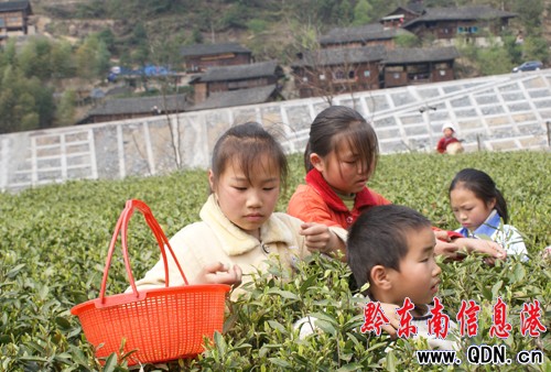 ����Σ����a(ch��n)�I(y��) 2.5�f�����~�ܞēpʧ720�fԪ���D��