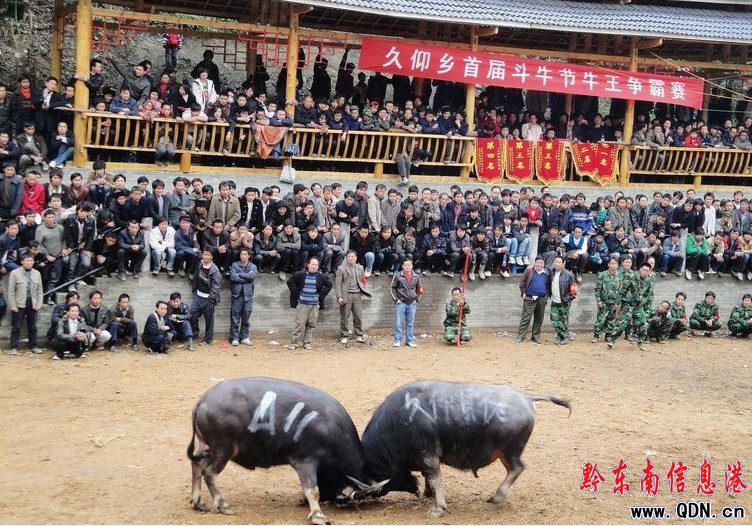 ���Ӿ����l�e���׌ö�ţ��ţ������ِ���D��