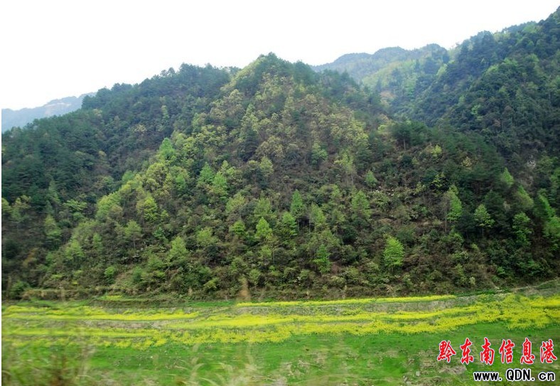 ���`����� �f����K���D��