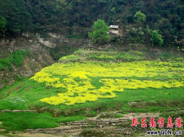 ���`����� �f����K���D��