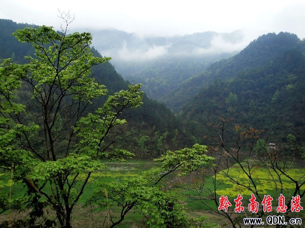 ���`����� �f����K���D��