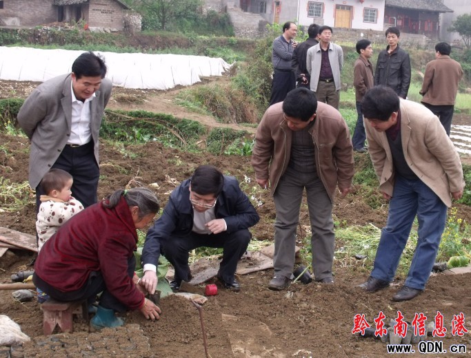 馮仕文副州長一行到凱里經(jīng)濟開發(fā)區(qū)調(diào)研(圖)