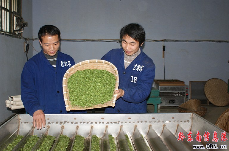 ��ɽ�h3000���ɲ蹤�v���ڻ���æ�ɲ�