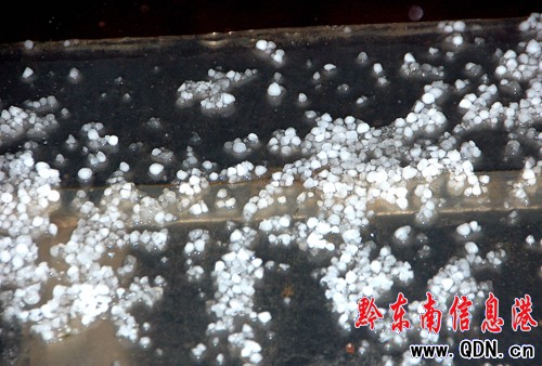 �P���E���������绨���ʣ��D��