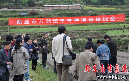 ��֮�걣���a �P������ƏV���������g���D��