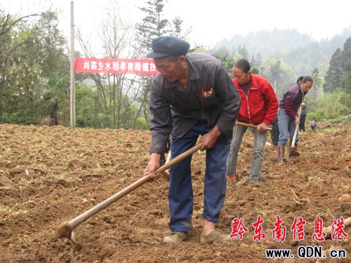 ������ �ٰl(f��)չ ӛ��կˮ����������Ӗ�����D��