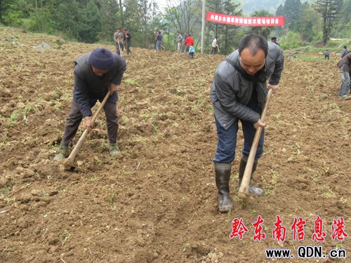 ������ �ٰl(f��)չ ӛ��կˮ����������Ӗ�����D��