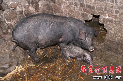 ��Ϫ�i�ֵ܂��^��� ���200��С�܃H6��(�D)