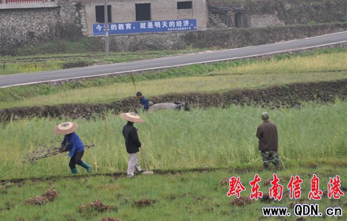 連夜暴雨村民喜 天寒難耐春耕熱(圖)
