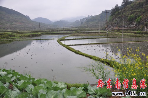 連夜暴雨村民喜 天寒難耐春耕熱(圖)