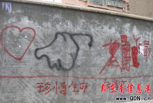 �P����^ Ϳ�f�L���Ǡ��h���M�D��